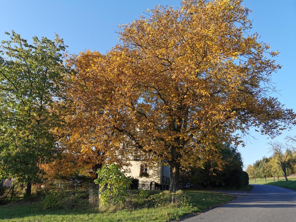 Ferienwohnung "Am Saalehaken" Gossitz Buitenkant foto