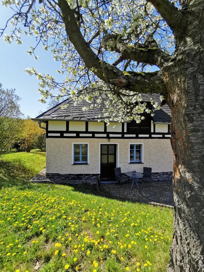 Ferienwohnung "Am Saalehaken" Gossitz Buitenkant foto